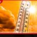 අධික රශ්මිය නිසා ජපානයේ ප්රාන්ත 39 කට තාප ආඝාත අනතුරු ඇඟවීම්