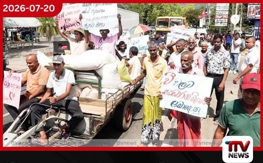 වීවලට සාධාරණ මිලක් ඉල්ලා මහියංගණයේ ගොවීන් සටනේ…