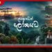 බිරිඳව හා බිරිඳගේ යෙහෙළියන්ව AI මගින් නිරුවත් කළ සැමියා ඕස්ට්‍රේලියානු අධිකරණයට!