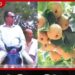 ඇමැති අසුපිට නැග පෙයාස් කද්දී…
