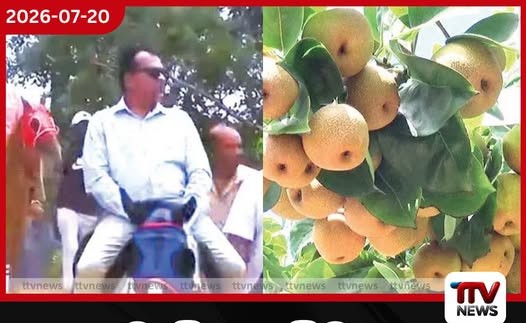 ඇමැති අසුපිට නැග පෙයාස් කද්දී…