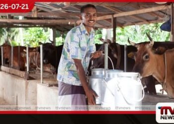 දිට්වාවෙන් හානිවූ කිරි ගොවීන් නඟා සිටුවීමට ලෝක බැංකු ආධාර මත කඩිනම් වැඩපිළිවෙලක්
