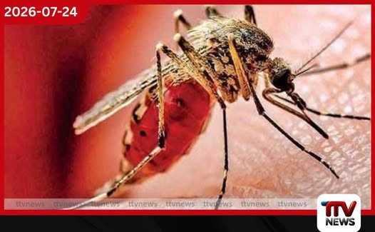 ඩෙංගු පාලනයෙන් ගිලිහෙයිද?
