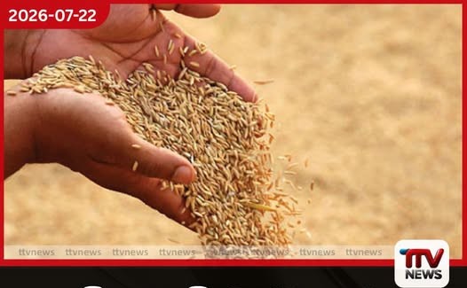 වී අලෙවි මණ්ඩලයේ ගබඩා 71කදී වී මෙට්රික් ටොන් 1,910ක් මිලදී ගනියි