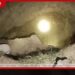 යකා වංගුවේ නිධන් හොයපු හිටපු ඇමැති පුතා ඇතුළු 5ක් අත්අඩංගුවට!