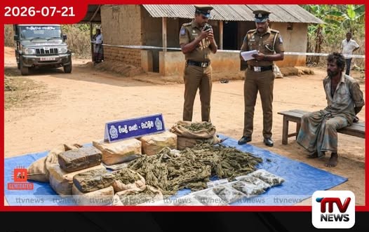 වියළි ගංජා තොගයක් සමඟ සැකකරුවෙක් වැල්ලවායදී අත්අඩංගුවට