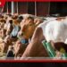 ෂෙයික් හසීනා යළි එන්න සැරසෙද්දී බංග්ලාදේශ ජනපති පුටුව සෙලවෙයි…