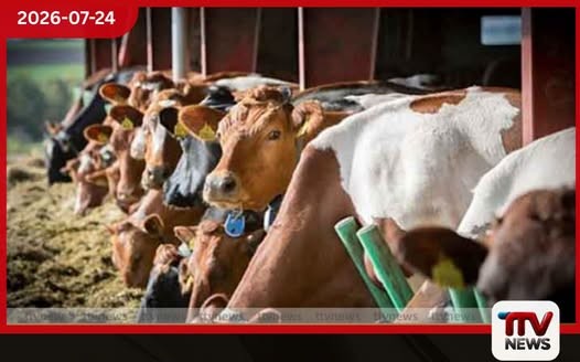 ෂෙයික් හසීනා යළි එන්න සැරසෙද්දී බංග්ලාදේශ ජනපති පුටුව සෙලවෙයි…
