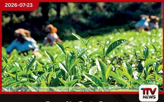 2026 වසරේ මුල් මාස 6 තුළ සමස්ත අපනයන ආදායම ඩොලර් බිලියන 9 ඉක්මවයි