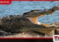 C.D. වික්‍රමරත්න වෙඩි තියාගත්  පිස්තෝලයේ ඇඟිලි සලකුණු නෑ…