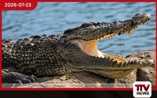 C.D. වික්රමරත්න වෙඩි තියාගත් පිස්තෝලයේ ඇඟිලි සලකුණු නෑ…