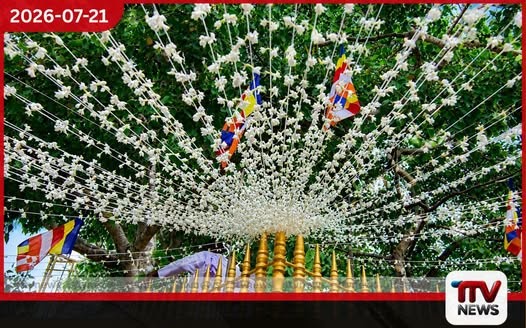 ජාතික පිච්ච මල් පූජාව නිසා අනුරාධපුරයට විශේෂ ප්රවාහන සේවා