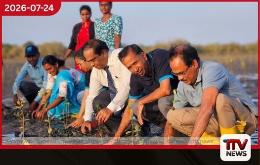 මුලතිව් කඩොලාන නැවත වගාවට ජනතා දායකත්වය