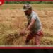 වී ගැටළුව මිලට පමණක්  සීමා වූවක් නොවේ