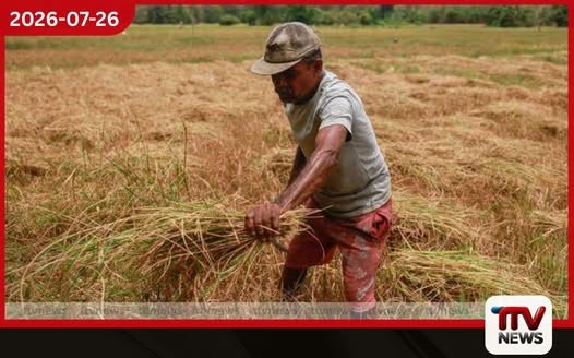 වී ගැටළුව මිලට පමණක් සීමා වූවක් නොවේ