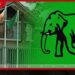 නීතිවිරෝධී වත්කම් පිළිබඳ  පොලිස් ප්‍රකාශය  ඉල්ලා අස්කර ගන්නා ලෙස  එජාපයෙන් ඉල්ලීමක්