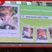 දරුවන් සිව් දෙනෙකු සුනඛයින්ට පහර දී මරා දැමීමේ සිද්ධිය චීනයේ සත්ව හිංසනයට එරෙහි විරෝධතා ලොව පුරා පැතිරෙයි