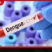 ඩෙංගු බිය යළි ඉහළට…