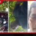 මාලිමා සභාපති ටවුම මැද බිම දමාගෙන පුද්ගලයෙකුට පහර දෙයි…