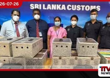 කටුනායක ගුවන්තොටුපොළේදී රුපියල් ලක්ෂ තිස් හයකට අධික වටිනා විදේශීය පරවියන් සමඟ ශ්ර්රී ලාංකිකයින් දෙදෙනෙකු අත්අඩංගුවට