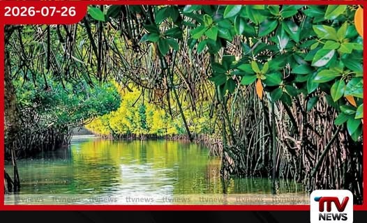 ජාත්යන්තර කඩොලාන දිනයට සමගාමීව පුත්තලම දිස්ත්රික්කයේ කඩොලාන පරිසර පද්ධති අටක් නව රක්ෂිත ලෙස ප්රකාශයට පත් කරයි