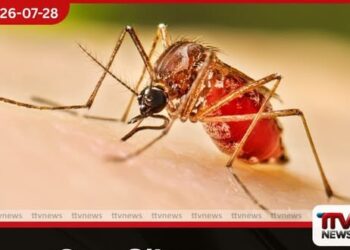 ඩෙංගු මර්දනය සඳහා ඉන්දියාවෙන් ශ්රී ලංකාවට මැලතියෝන් කෘමිනාශක ආධාරයක්