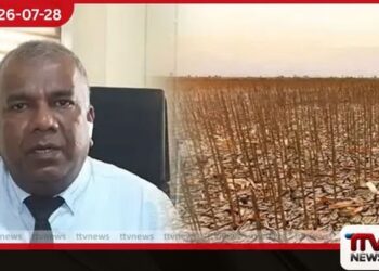 එල් නිනෝ කාලගුණ තත්ත්වය හේතුවෙන් ශ්රී ලංකාවට අධික උණුසුමක් සහ අවම වර්ෂාපතනයක්