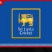 SLC නව ව්‍යවස්ථාවෙන් ඡන්ද බලය 39ට අඩු වෙයි…