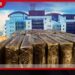 කටුනායක ගුවන් තොටුපොළේදී රුපියල් විසි කෝටියකට අධික වටිනා හෂීෂ් මත්ද්රව්ය සමඟ කැනඩා ජාතිකයෙකු අත්අඩංගුවට