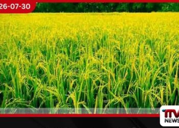 එල්නිනෝ හමුවේ මහ කන්නයට අලුත් සැලසුමක්…