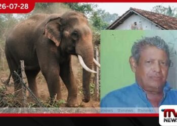 දෙදරු පියාව මීටර් 100ක් ඇදගෙන ගොස් ඇතා පාගා මරා දාලා…