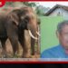 දෙදරු පියාව මීටර් 100ක් ඇදගෙන ගොස් ඇතා පාගා මරා දාලා…