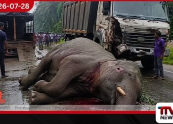 පෙරහැරට යමින් සිටි අලියා අධික වේගයෙන් ආ වැලි ලොරියේ ගැටී දරුණු අනතුරක්…