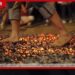 රතු කැට ගැසුණු අඟුරු මත… කතරගම බැතිමතුන් ගිනි පාගති!