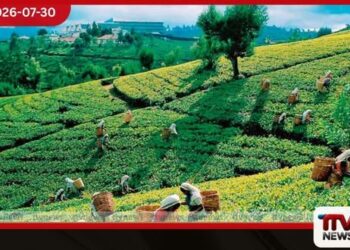 සිලෝන් ටී විලේජ් ව්යාපෘතිය වේගවත් කිරීමට රුපියල් කෝටි 23ක අතිරේක ප්රතිපාදන