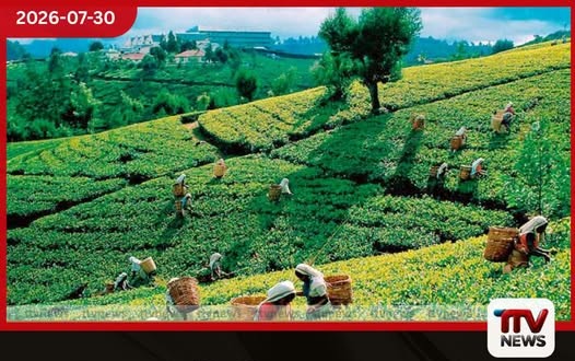 සිලෝන් ටී විලේජ් ව්යාපෘතිය වේගවත් කිරීමට රුපියල් කෝටි 23ක අතිරේක ප්රතිපාදන