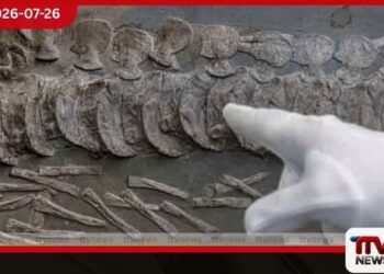 මිනිසාට පෙර පෘථිවියේ දියුණු ශිෂ්ටාචාරයක් තිබුණාද?