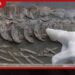 මිනිසාට පෙර පෘථිවියේ  දියුණු ශිෂ්ටාචාරයක් තිබුණාද?