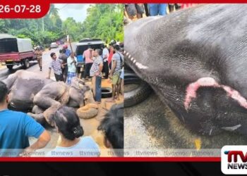 මීටර් 50ක් ඇදීගෙන ගියා…