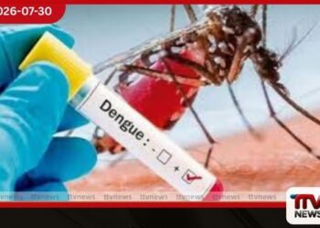 ඩෙංගු රෝගීන් 84,000 පනී   අධි අවදානම් කලාප  175ක්!