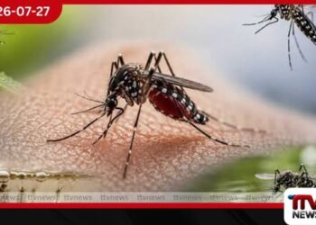 ඩෙංගු තර්ජනය තවත් දරුණුයි…