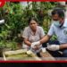 බණ්ඩාරගම නිවසක් ඩෙංගු තවානක් වෙයි!