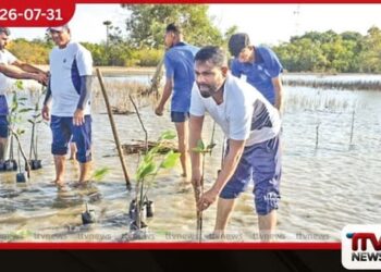ක්ලීන් ශ්‍රී ලංකා ජාතික වැඩසටහන යටතේ වෙරුගල්ආරු ප්‍රදේශයේ  කඩොලාන පැළ 400ක් රෝපණය කිරීම නාවික හමුදාවෙන්