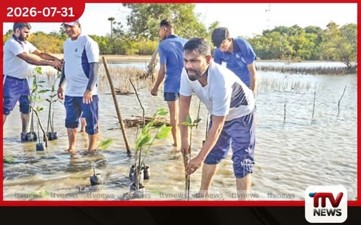 ක්ලීන් ශ්රී ලංකා ජාතික වැඩසටහන යටතේ වෙරුගල්ආරු ප්රදේශයේ කඩොලාන පැළ 400ක් රෝපණය කිරීම නාවික හමුදාවෙන්