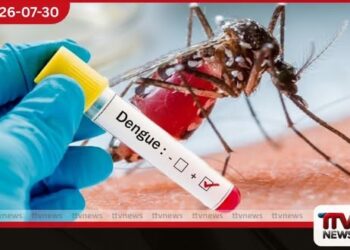 දිවයිනේ වැඩිම ඩෙංගු රෝගීන් සංඛ්යාව ගම්පහින් වාර්තා වෙයි