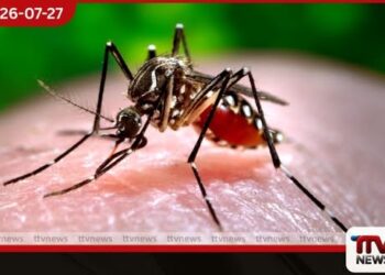 මෙරට ඩෙංගු මරණ 61න් මරණ 30ක්ම ජූලි මාසයේදී වාර්තා වෙයි