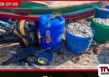 මන්නාරමේදී මුහුදු කුංකුම  14,000කට අධික ප්‍රමාණයක් සමඟ  සැකකරුවන් 12ක්  අත්අඩංගුවට