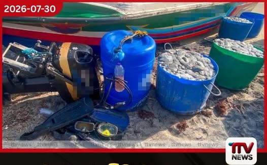 මන්නාරමේදී මුහුදු කුංකුම 14,000කට අධික ප්රමාණයක් සමඟ සැකකරුවන් 12ක් අත්අඩංගුවට