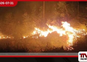 කොටවෙහෙරගල රක්ෂිතයේ හටගත් ගින්නෙන් අක්කර 5ක් විනාශයි