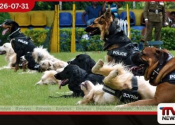 විශ්‍රාමික පොලිස් නිල සුනඛයන් 26 දෙනෙකු  හෙට වෙන්දේසියක